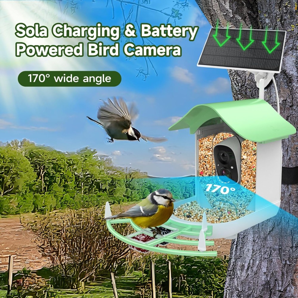 Solar Powered Smart Bird Feede - đánh giá và giá Smart Bird Feeder Camera