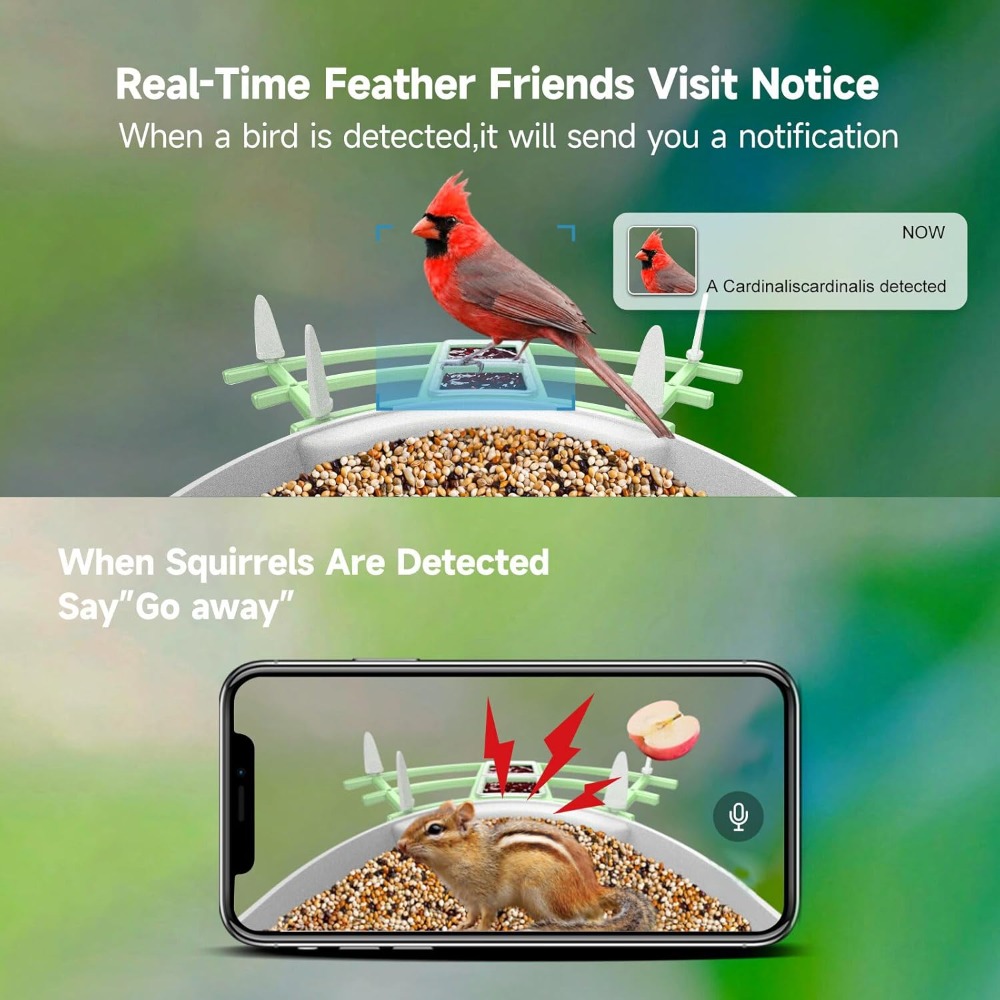 Solar Powered Smart Bird Feede - đánh giá và giá Smart Bird Feeder Camera