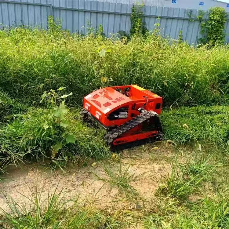 Smart Remote Control Rotatin W - đánh giá và giá Smart Garden Trimmer