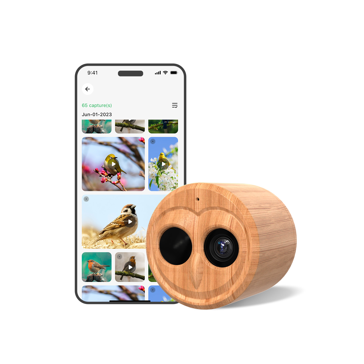 4K Smart Bird Feeder With Came - đánh giá và giá Smart Bird Feeder Camera