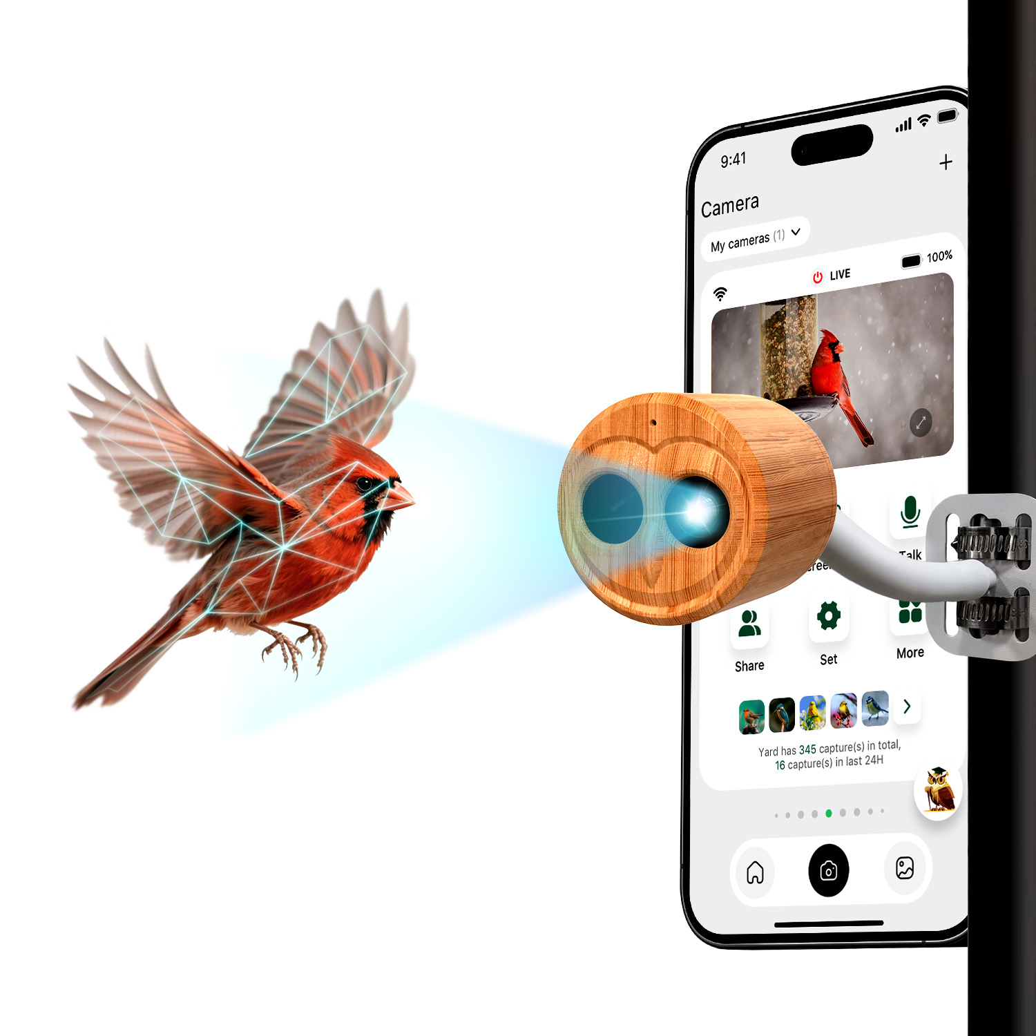 4K Smart Bird Feeder With Came - đánh giá và giá Smart Bird Feeder Camera