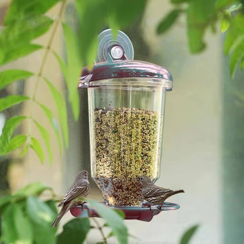 Hanging Bird Feeder Transparen - đánh giá và giá Smart Bird Feeder Camera