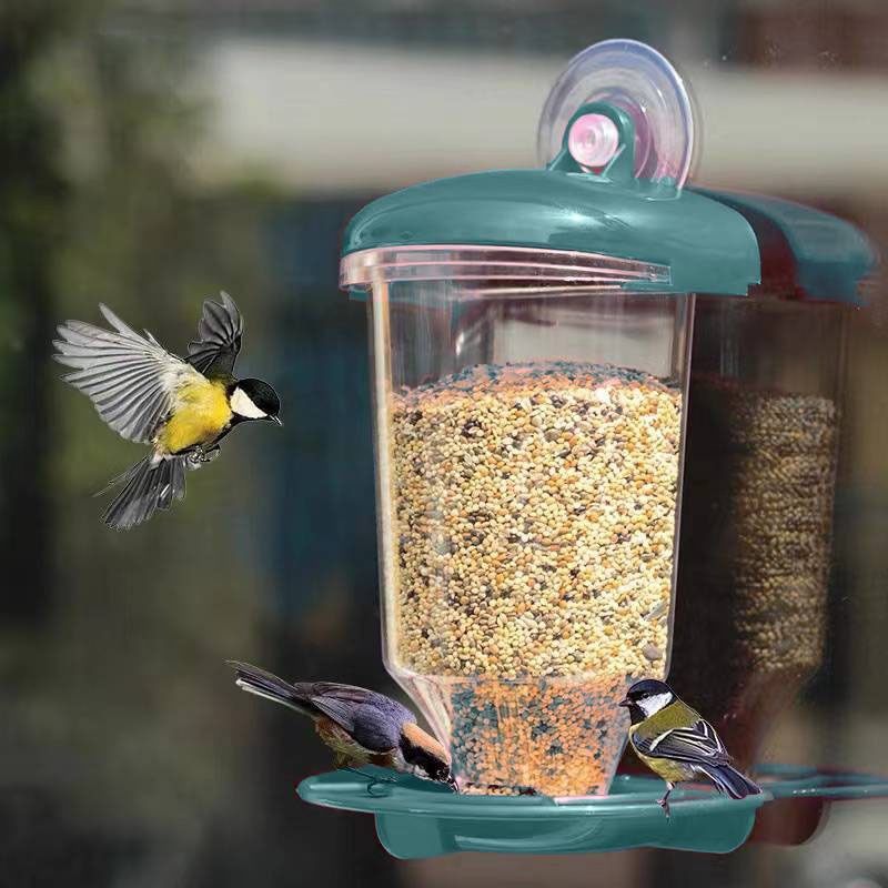 Hanging Bird Feeder Transparen - đánh giá và giá Smart Bird Feeder Camera