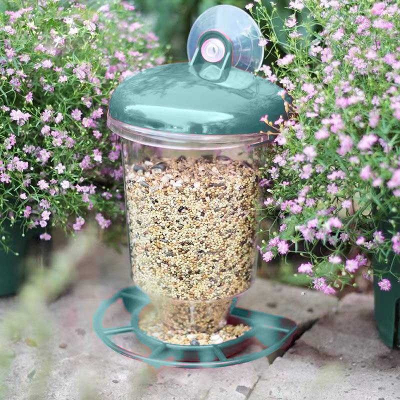 Hanging Bird Feeder Transparen - đánh giá và giá Smart Bird Feeder Camera