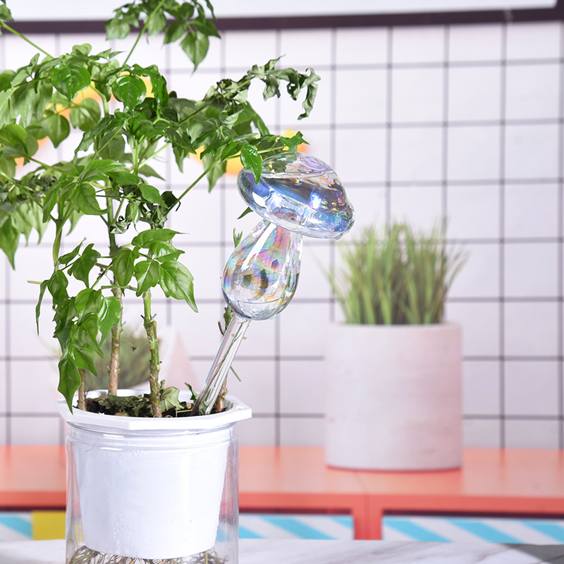 1/2PCS Glass Straw Automatic P - đánh giá và giá Smart Garden Technology