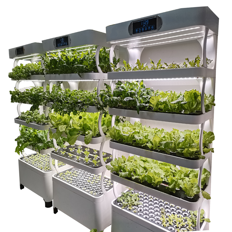 Indoor Smart Low Cost Hydropon - đánh giá và giá Smart Garden System