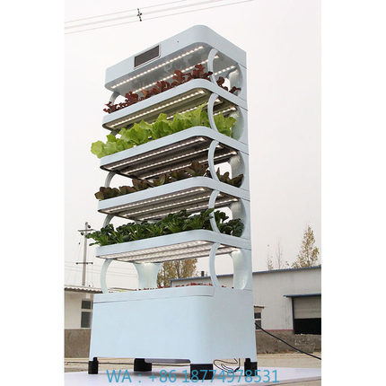 arming Home Hydroponic Growing - đánh giá và giá Smart Garden System