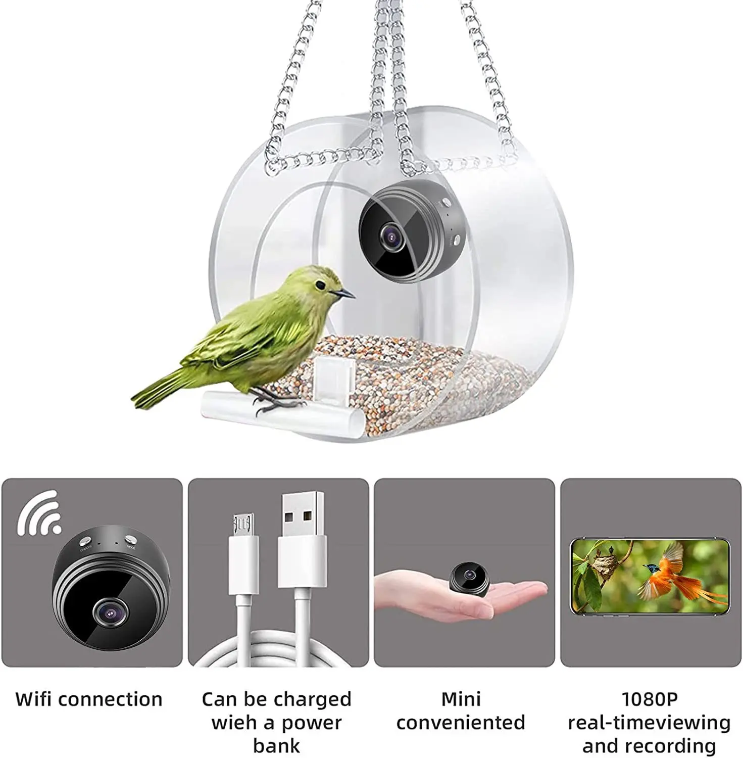 2023 Smart Bird Feeder Acrylic - đánh giá và giá Smart Bird Feeder Camera