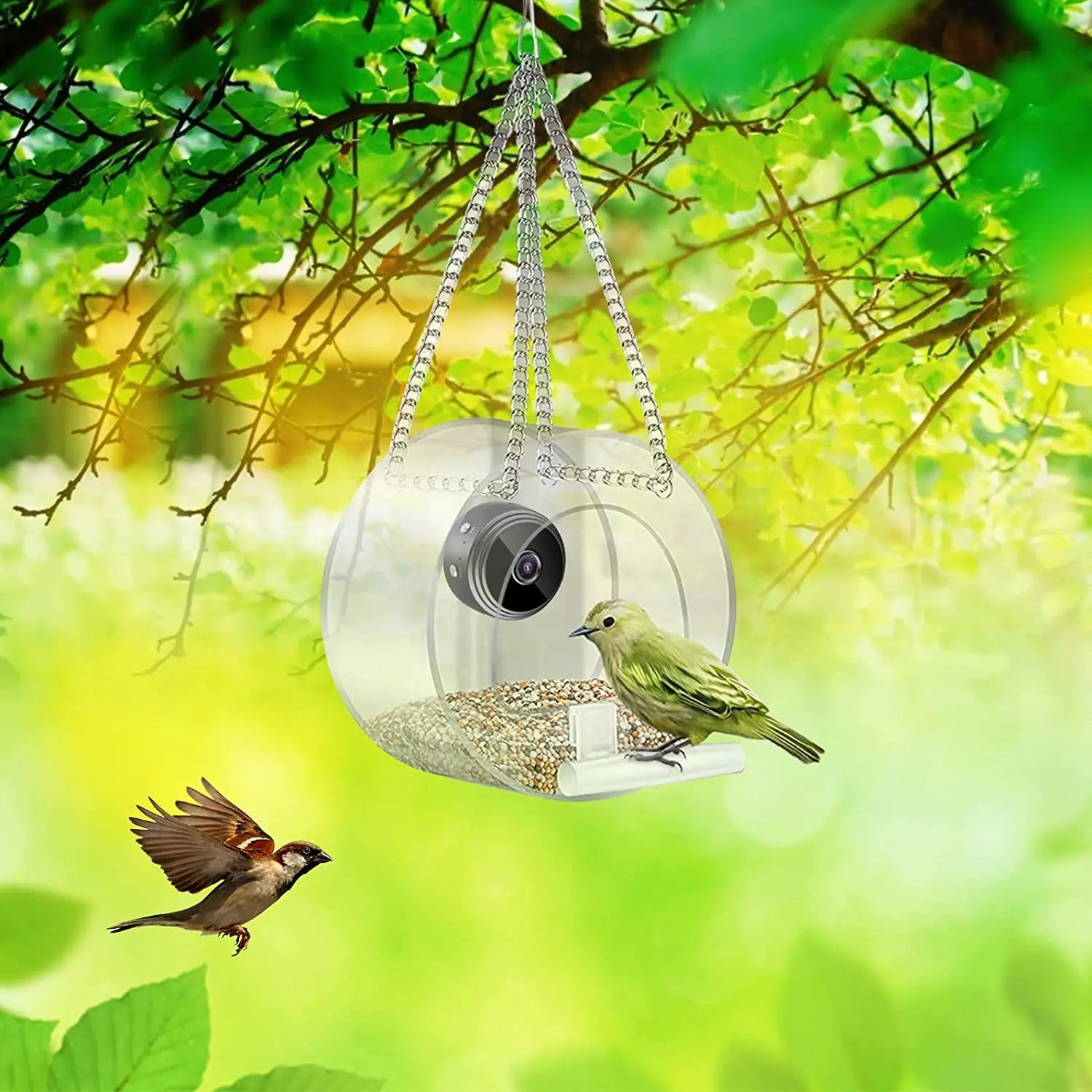 2023 Smart Bird Feeder Acrylic - đánh giá và giá Smart Bird Feeder Camera