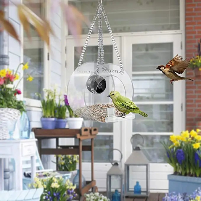 2023 Smart Bird Feeder Acrylic - đánh giá và giá Smart Bird Feeder Camera