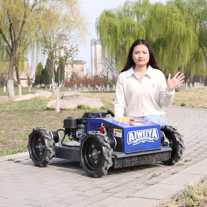 Customized Automatic Robot Law - đánh giá và giá Smart Garden Trimmer