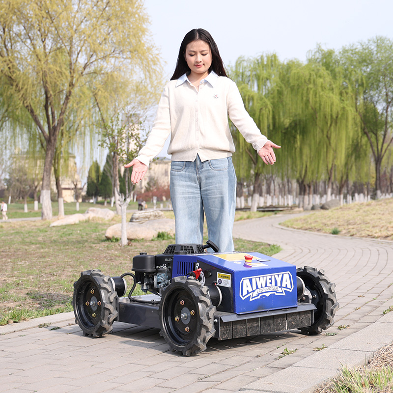 Customized Automatic Robot Law - đánh giá và giá Smart Garden Trimmer