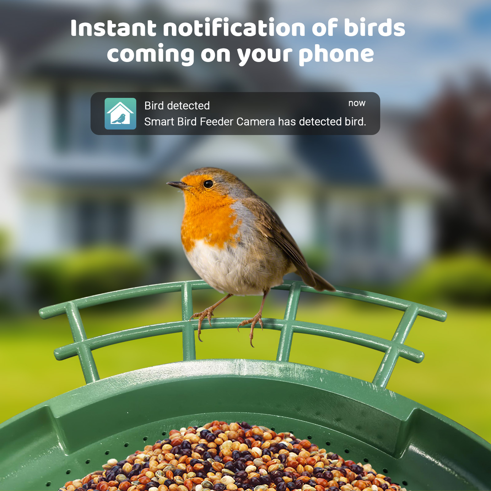 Smart Dual Camera Bird Feeder  - đánh giá và giá Smart Bird Feeder Camera