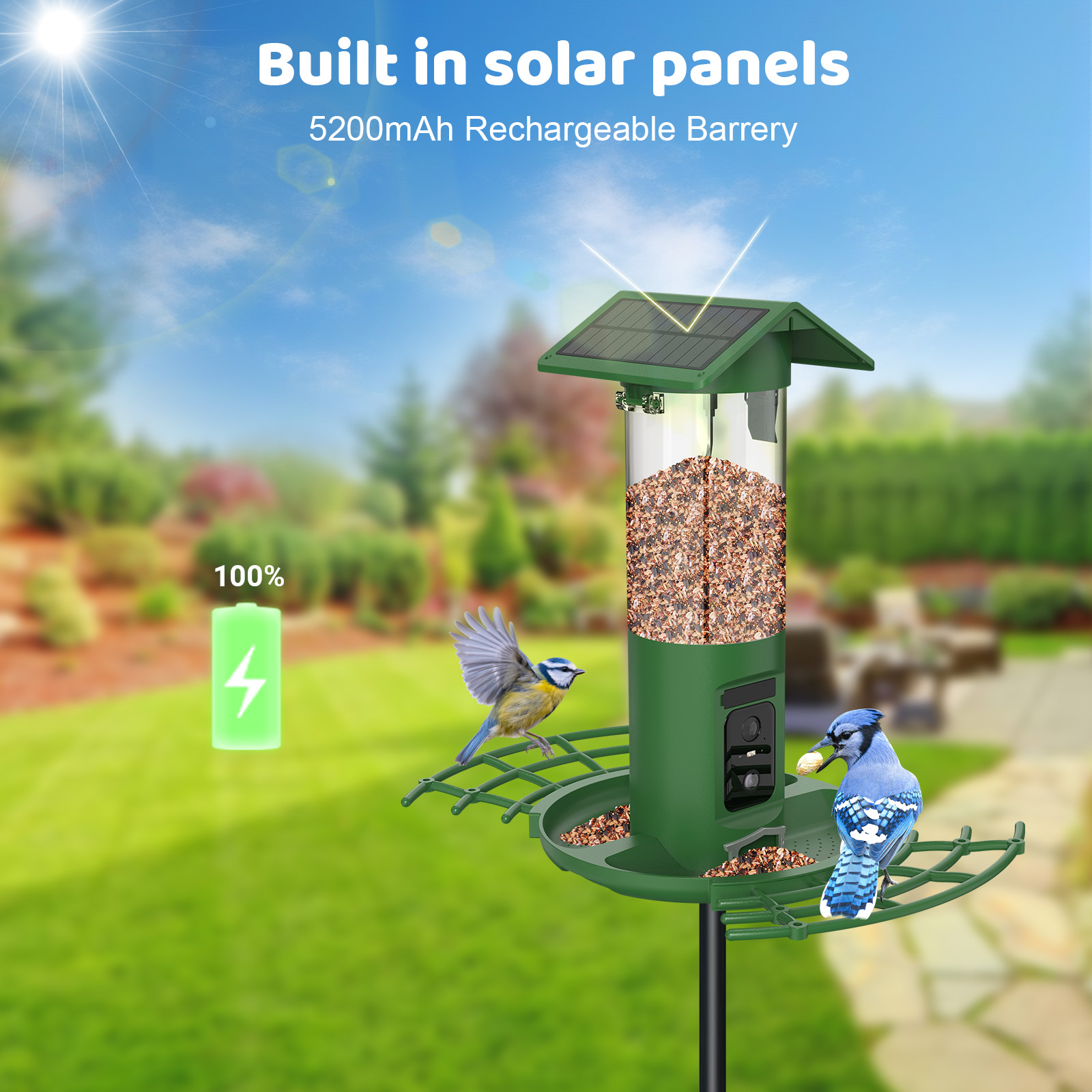 Smart Dual Camera Bird Feeder  - đánh giá và giá Smart Bird Feeder Camera