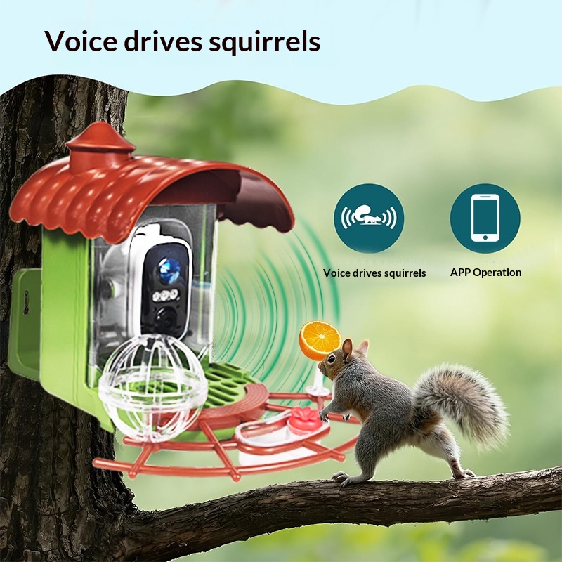 Outdoor Solar-Powered Automati - đánh giá và giá Smart Bird Feeder Camera