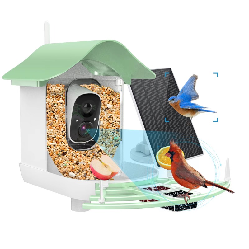 2026 App Video Auto Capture Ca - đánh giá và giá Smart Bird Feeder Camera